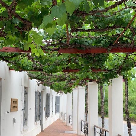 Port Wine Guesthouse Calitzdorp Εξωτερικό φωτογραφία