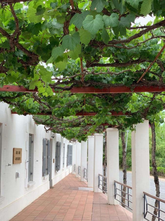Port Wine Guesthouse Calitzdorp Εξωτερικό φωτογραφία